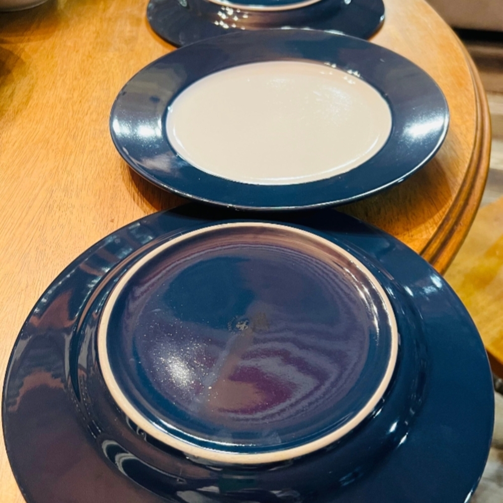 Elegant Navy Blue Dinner Plate Set